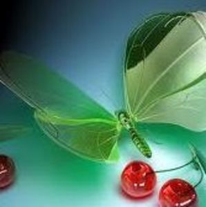 Meet your Posher, Ghazala